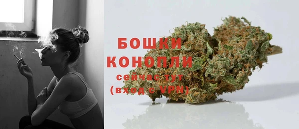 трава Балахна