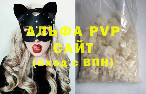 сатива Беломорск
