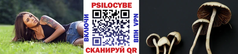 Галлюциногенные грибы Cubensis  Краснокамск 